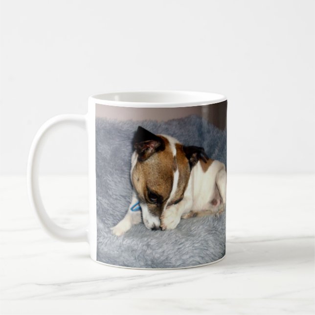 Fox Terrier, så Shy, White Coffee Mugg. Kaffemugg (Vänster)