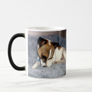 Fox Terrier, Shy, Magic Morph Coffee Mugg. Magisk Mugg