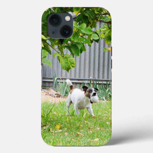 Fox Terrier Skrämmer Ansikte, iPhone 13 fodral (Baksida)