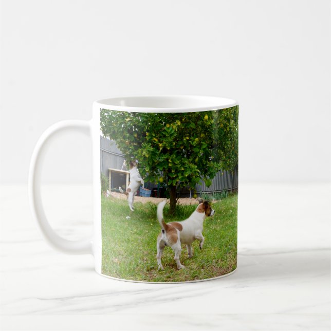 Fox Terrier som kommer till A Träd. Kaffemugg (Vänster)