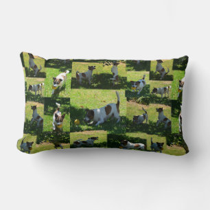 Fox Terrier Spela upp,Photo Collarge Lumbar Cushio Lumbarkudde