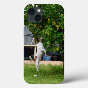 Fox Terrier the Leap, iPhone 13 Fodral