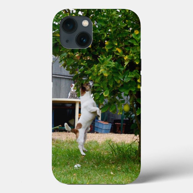 Fox Terrier the Leap, iPhone 13 Fodral (Baksida)