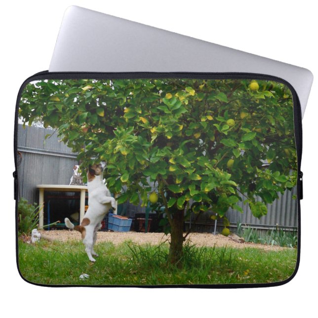 Fox Terrier the Leap, Laptop sleeve (Framsidan)