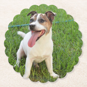 Fox Terrier, Tunga in Cheek Underlägg Papper