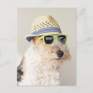 Fox Terrier Vykort