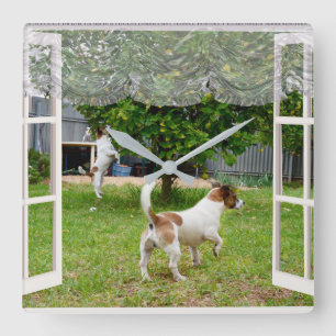 Fox Terriers Exploring the Garden. Fyrkantig Klocka