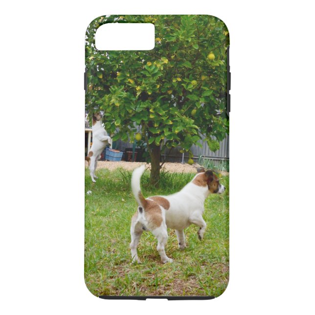 Fox_Terriers_Playtime,Tuff iPhone 7 Plus Fodral Case-Mate iPhone Skal (Baksida)