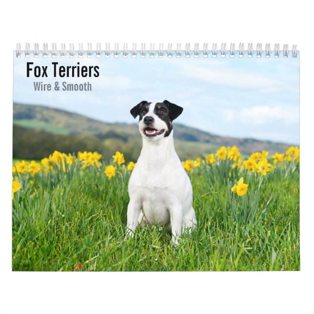 Fox Terriers Wire & Smooth 2027 Kalender (Omslag)