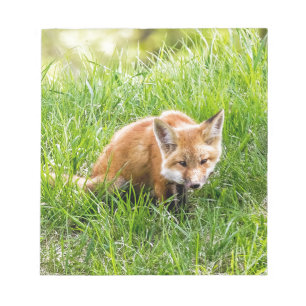 Fox Unge Anteckningsblock