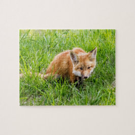 Fox Unge Pussel