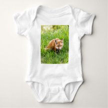 Fox Unge