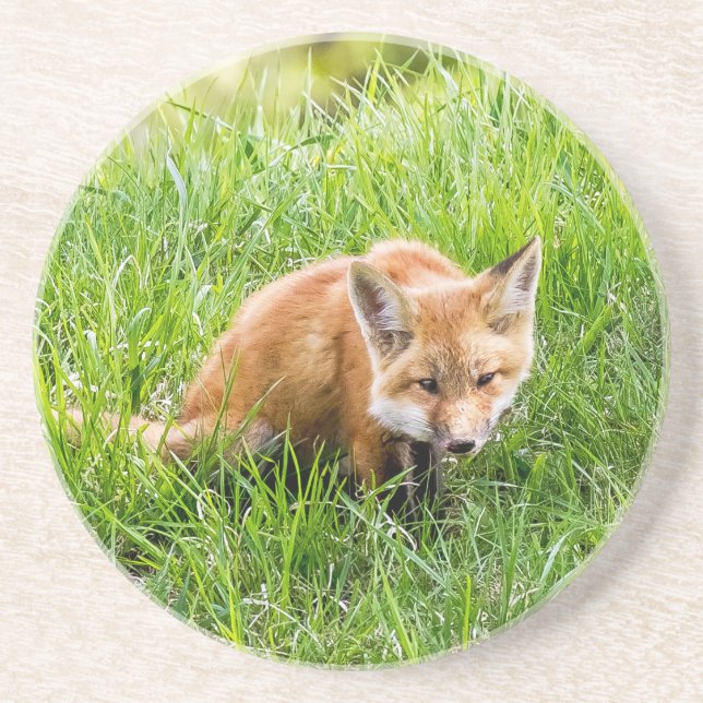 Fox Unge Underlägg Sandsten (Framsidan)