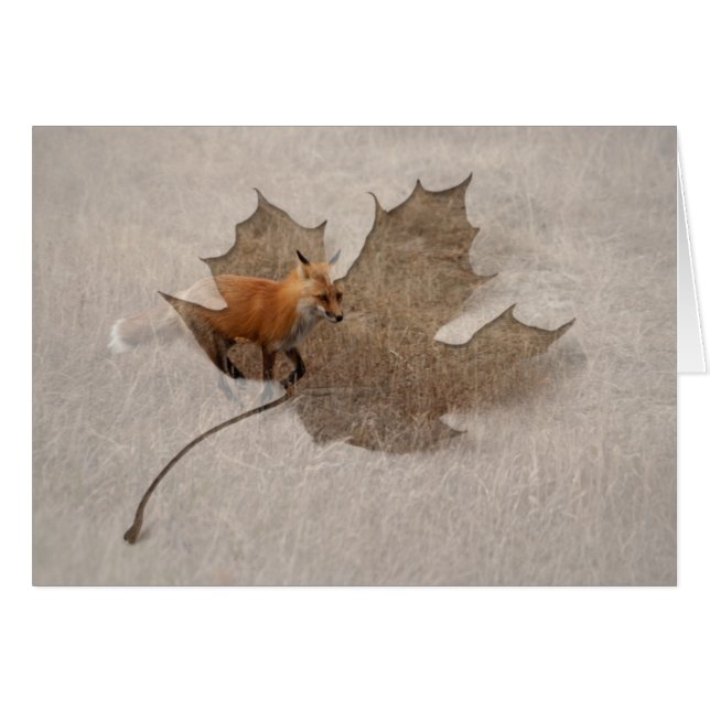 Fox vid Springa Hälsningskort (Framsidan Horizontal)