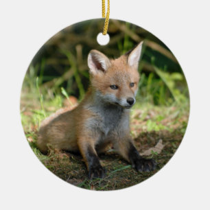 Fox Wildlife Photo Julgransprydnad Keramik