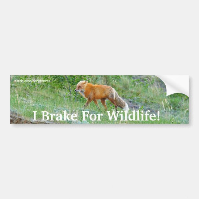 Fox Wildlife Protection Bumper Sticker Bildekal (Framsidan)