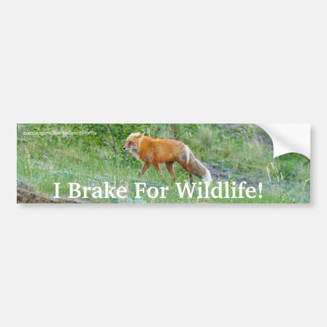 Fox Wildlife Protection Bumper Sticker Bildekal (Framsidan)