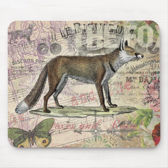 Fox Wildlife Vintage Animal Illustration Musmatta (Framsidan)
