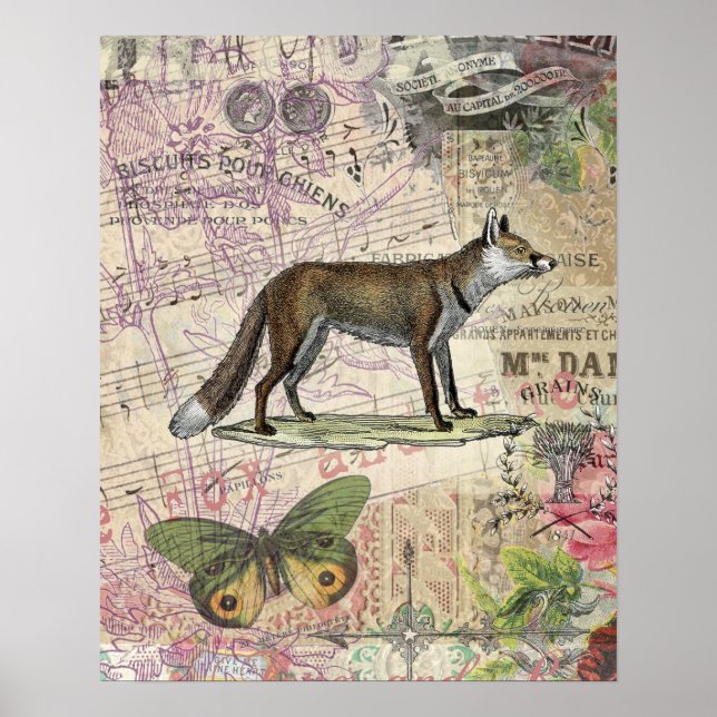 Fox Wildlife Vintage Animal Illustration Poster (Framsidan)