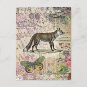 Fox Wildlife Vintage Animal Illustration Vykort