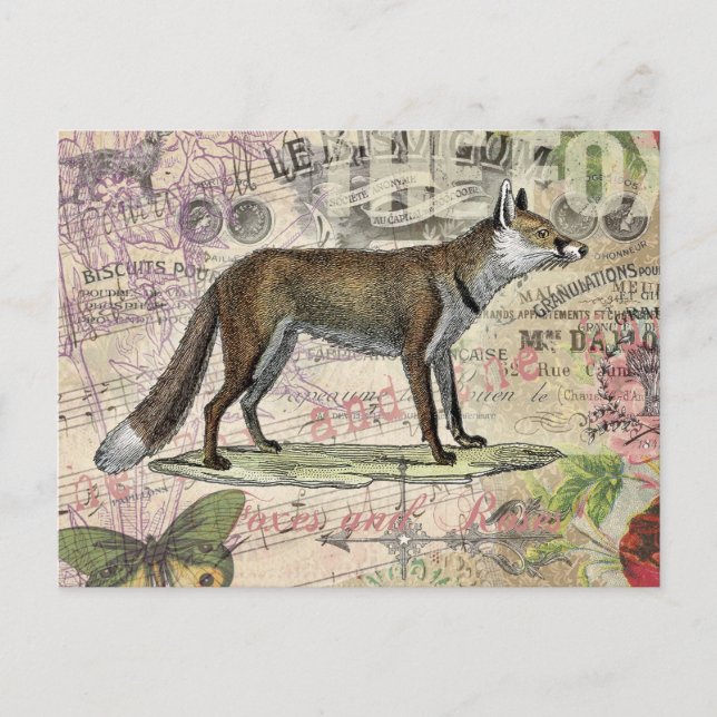 Fox Wildlife Vintage Animal Illustration Vykort (Framsida)