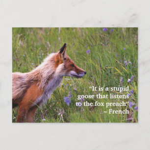 Fox Wildlife-vykort Vykort