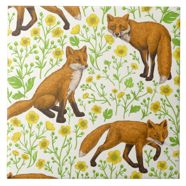Foxar och butterkuggar på naturligt vita kakelplatta (Framsidan)
