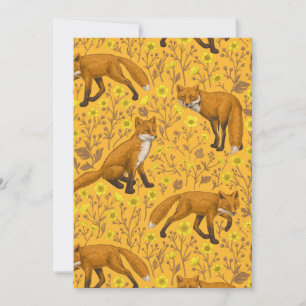 Foxar och fjärilar på orangen