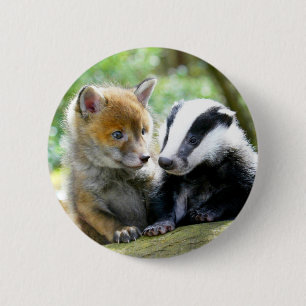 Foxcub och Badger Cute! Knapp