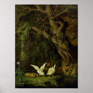 Foxer och gäss poster