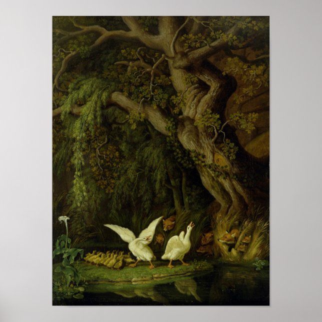 Foxer och gäss poster (Framsidan)