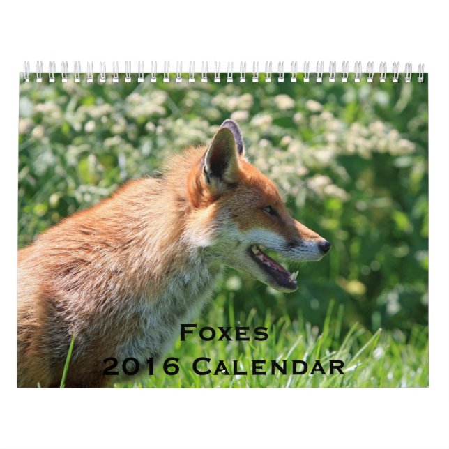 Foxes 2016 Calendar Kalender (Omslag)