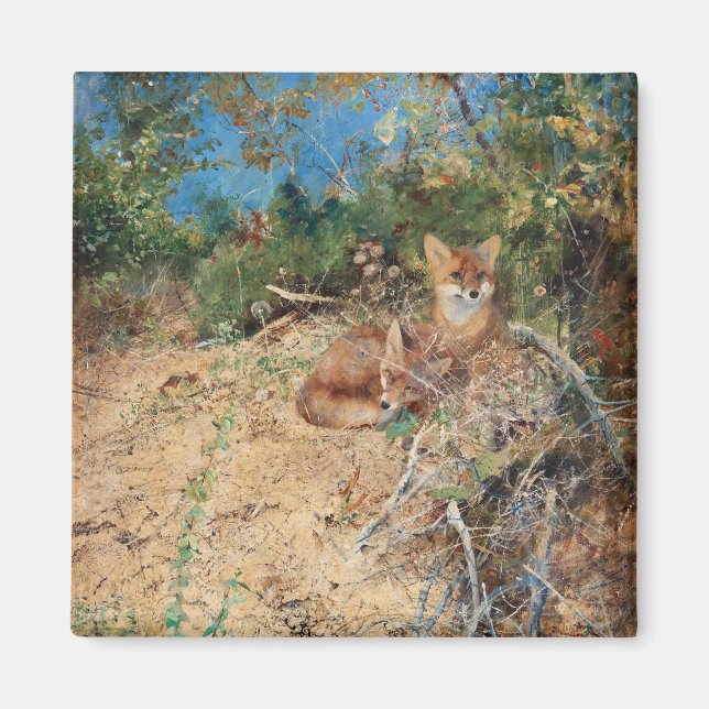 Foxes, Bruno Liljefors Magnet (Framsidan)