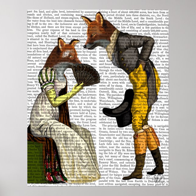 Foxes Courting Poster (Framsidan)