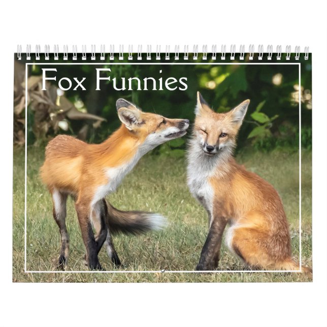 Foxes Funnies Calendar Kalender (Omslag)