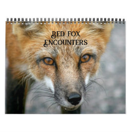 Foxfoto med rött räv kalender