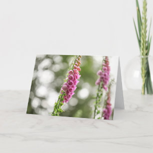 Foxglove Blommar Kort