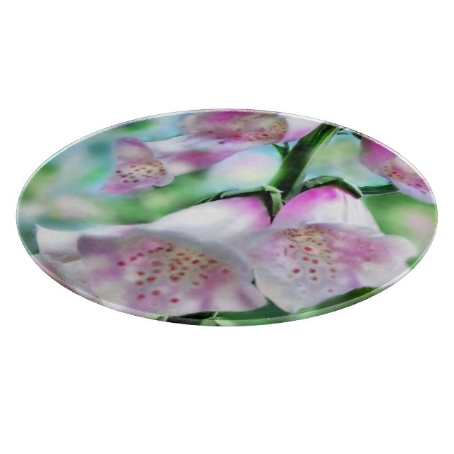 Foxglove Flower Blommigt Lila Grönt Garden (Hörn)