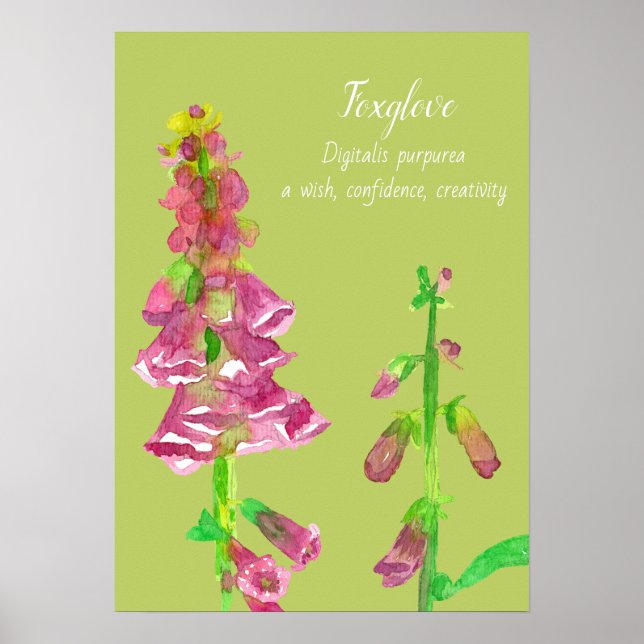 Foxglove Flower Botanical Painting Poster (Framsidan)