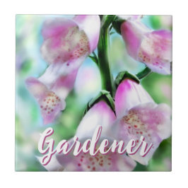 Foxglove Flowers Floral Pink Garden Personalized Kakelplatta
