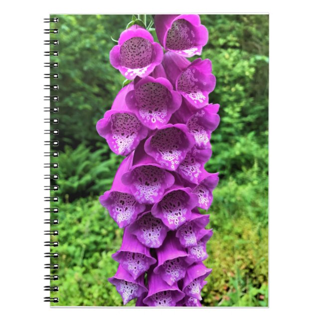 Foxglove Flowers, Oregon Anteckningsbok (Framsidan)