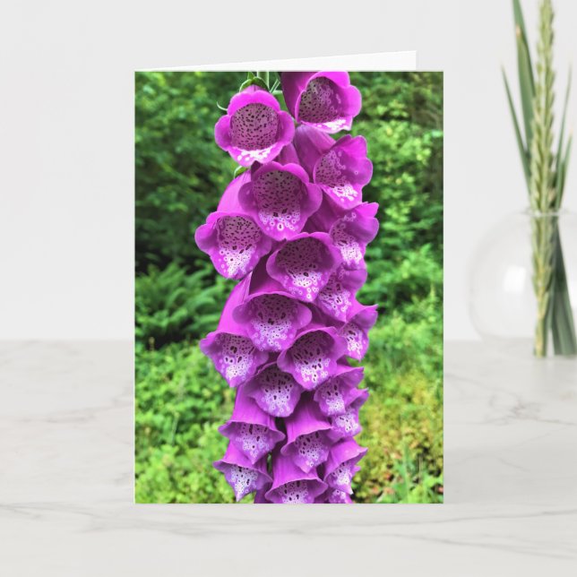 Foxglove Flowers, Oregon Kort (Framsida)