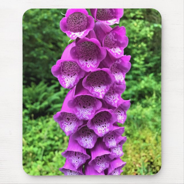 Foxglove Flowers, Oregon Musmatta (Framsidan)