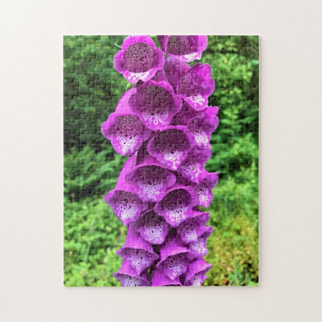 Foxglove Flowers, Oregon Pussel (Vertikal)
