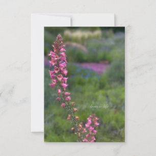 Foxglove i perennial Garden Anteckningskort