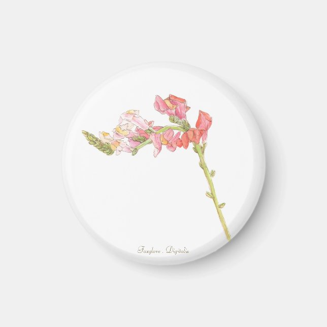 Foxglove Magnet (Framsidan)