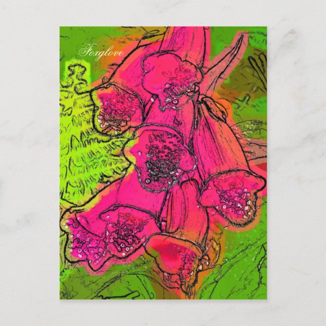 FOXGLOVER VYKORT (Framsida)