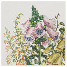 Foxgloves