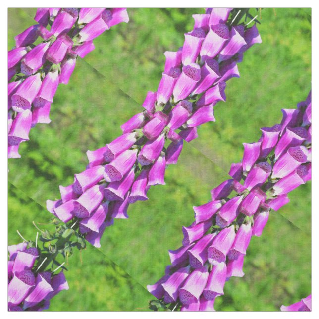 Foxhandskar Tyg (Provkarta)