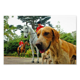 Foxhound Hundar Horses Väster Berkshire Hunt Engla Fototryck